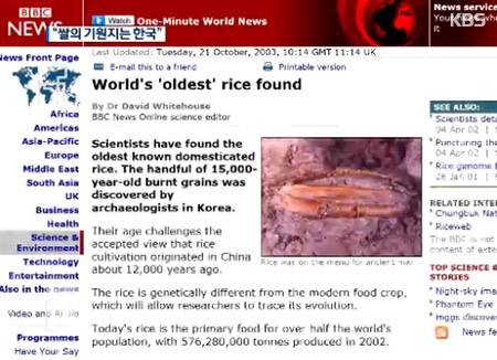 BBC"최초의 쌀은 중국아닌 한국" | 인스티즈