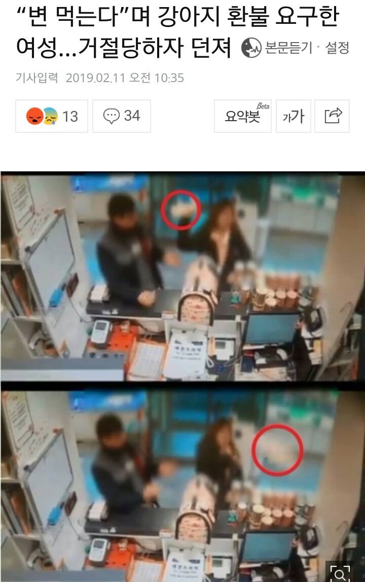 "변 먹는다”며 강아지 환불 요구한 여성…거절당하자 던져..강릉에서 벌어진 일 | 인스티즈