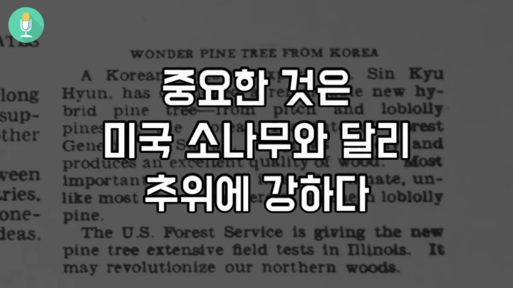 전 세계 유일하게 한국만 성공한 일 | 인스티즈