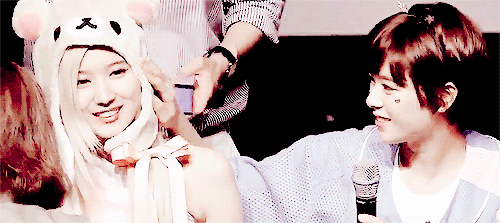 시바견을 좋아하는 정연이 | 인스티즈