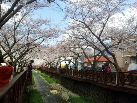 곧 커뮤에 깔리는 바탕화면.jpg | 인스티즈