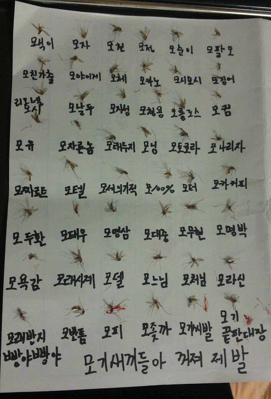 모기사냥꾼(혐오주의) | 인스티즈