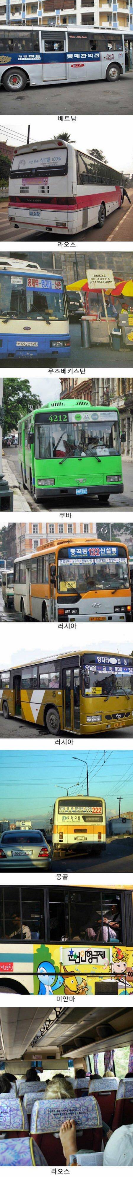 한류열풍에 이바지 하고있는 한국 버스 | 인스티즈