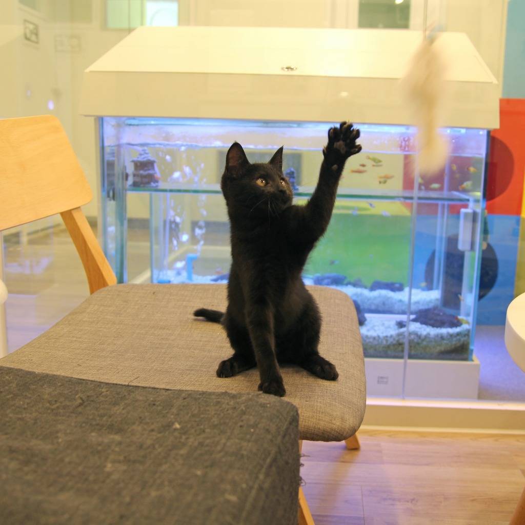 우리 깜둥이보고 가시죠ㅎ | 인스티즈