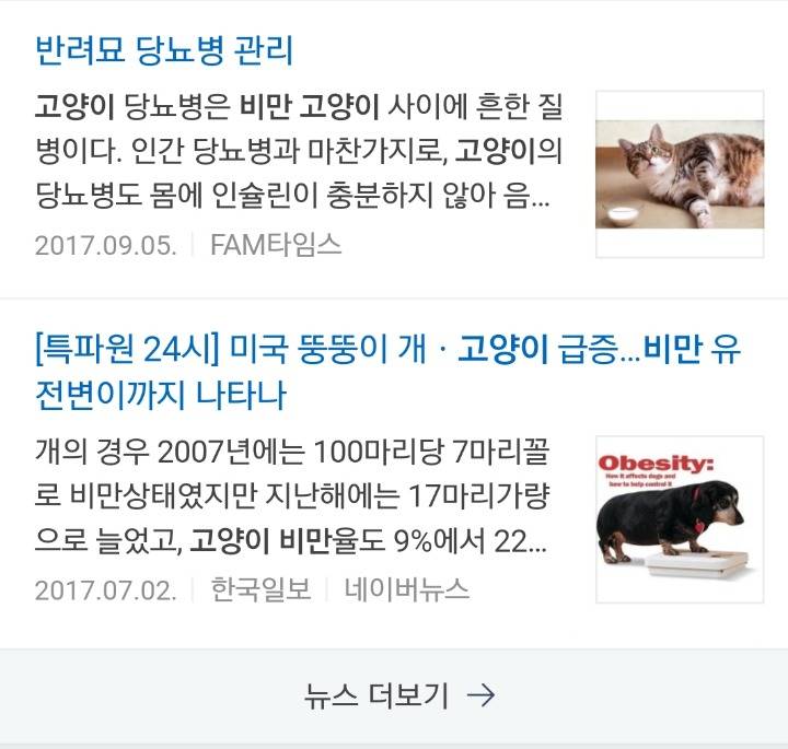 뚱냥이, 뚱멍이도 학대다 | 인스티즈