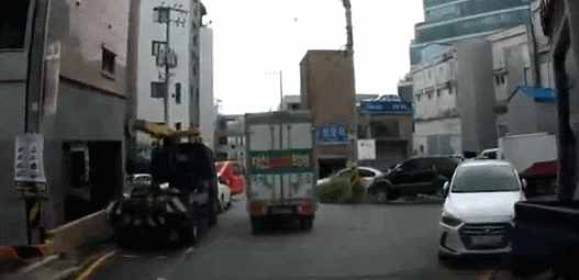 자동차 운전자들을 위협하는 전자 고라니.... | 인스티즈