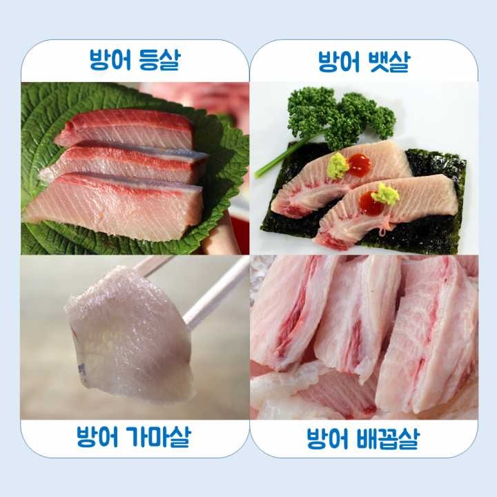 생선회 구별법.JPG | 인스티즈