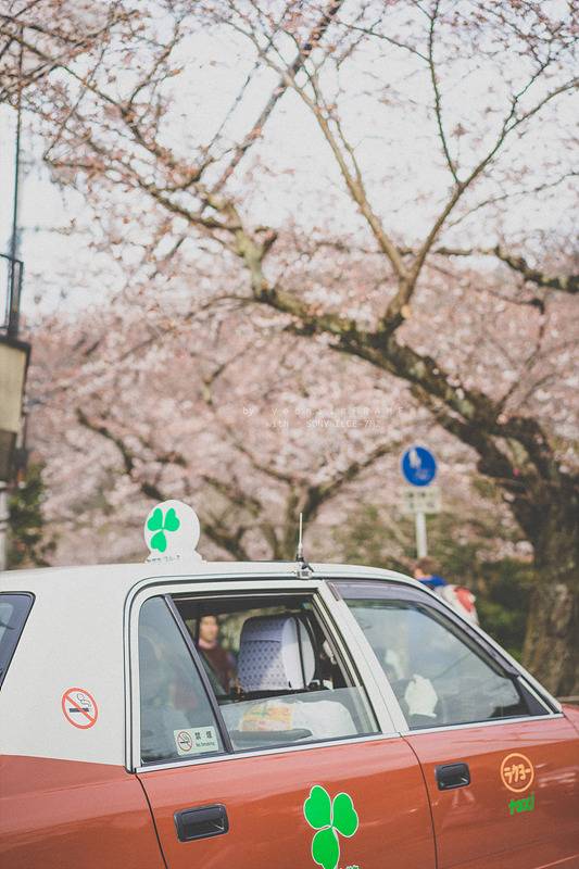 스냅사진 위주의 유치진지한 여행기 - 오사카&교토 (3) | 인스티즈