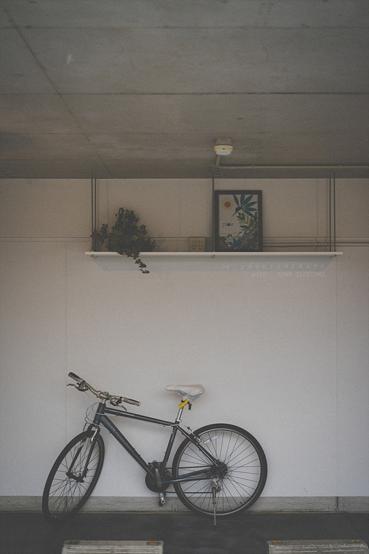 스냅사진 위주의 유치진지한 여행기 - 오사카&교토 (3) | 인스티즈