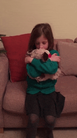 강아지가 너무 갖고 싶었던 아이.gif | 인스티즈