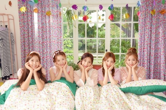 2017ë
ì¼ì¬ì°¨ê² ë°ë·íë ê±¸ê·¸ë£¹ë¤ íí© | ì¸ì¤í°ì¦