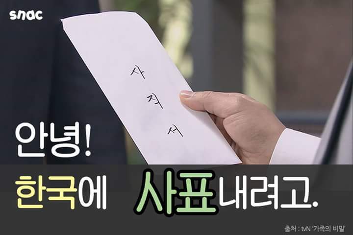 한국에 사표내는 사람들.jpg | 인스티즈