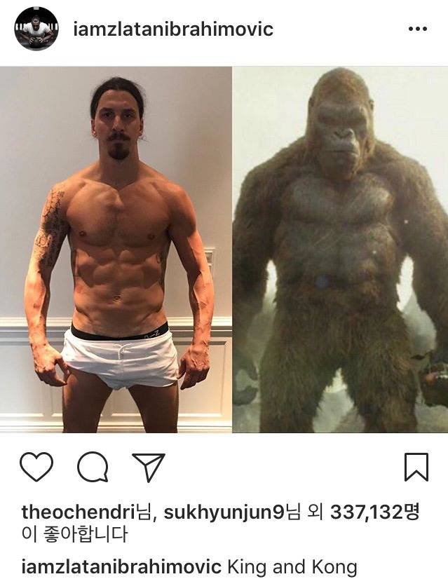 즐라탄 인스타 | 인스티즈