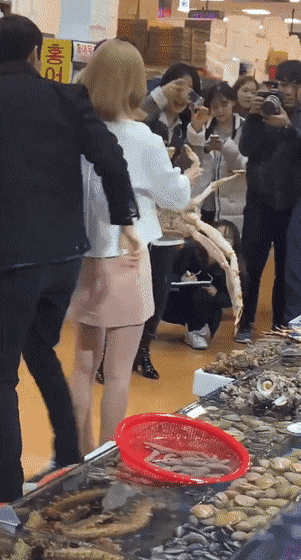 사쿠라를 지켜보는 모두의 주방 제작진들 표정...gif | 인스티즈