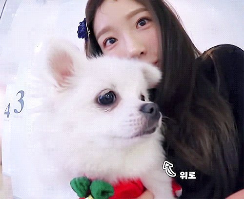 김태연김태연김태연김태연김태연김태연김태연김태연 | 인스티즈