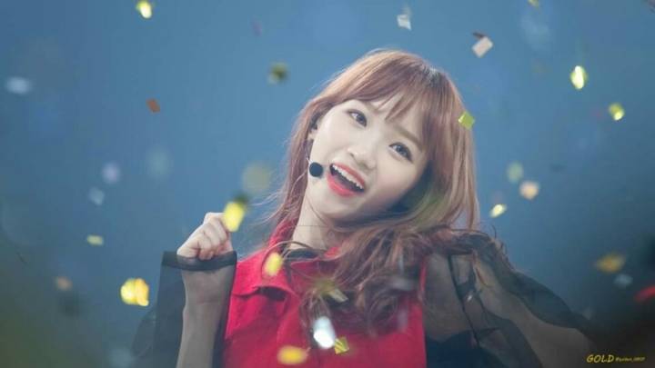 채원이 보고가세여 | 인스티즈