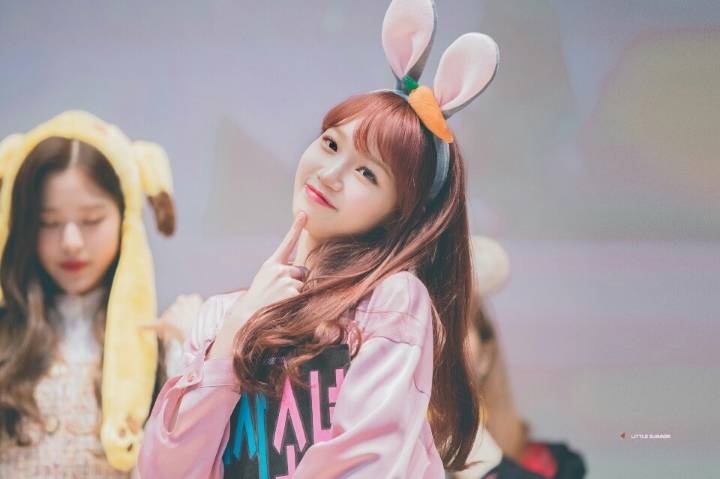 채원이 보고가세여 | 인스티즈