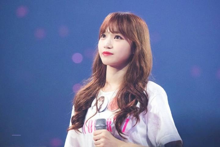 채원이 보고가세여 | 인스티즈