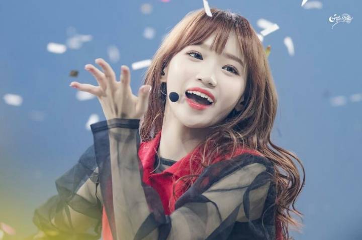 채원이 보고가세여 | 인스티즈