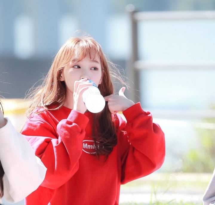 채원이 보고가세여 | 인스티즈