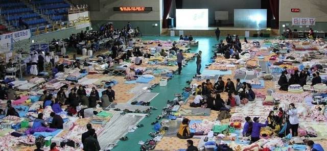 한국의 산불 이재민용 텐트를 보고 놀란 일본인 | 인스티즈