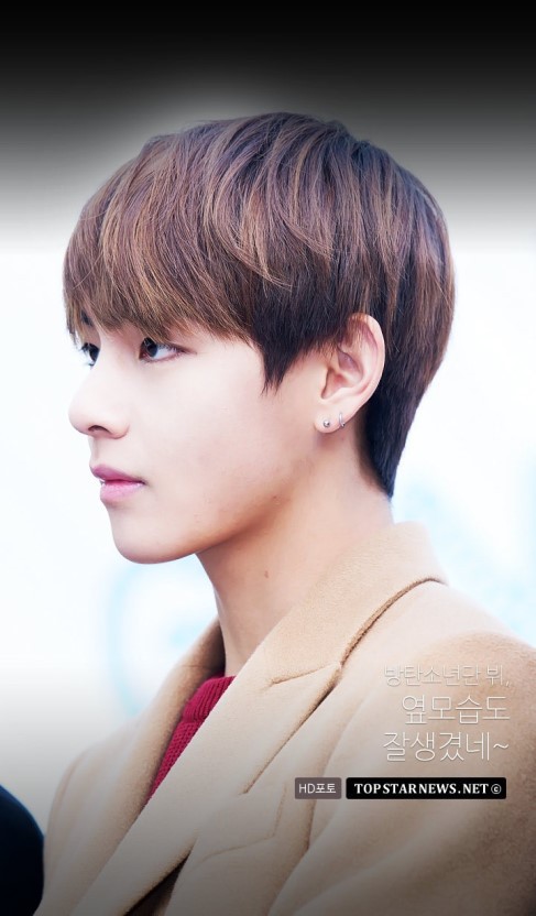 자기주장 개쩌는 방탄소년단 뷔 콧대 | 인스티즈