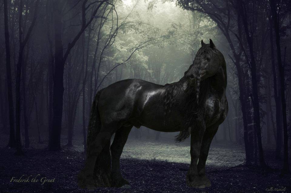 사진 작가들에게 가장 사랑 받는 말.jpg | 인스티즈