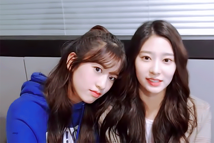 [아이즈원] 밍구리 민주와 댕댕이 유진이의 케미.gif | 인스티즈