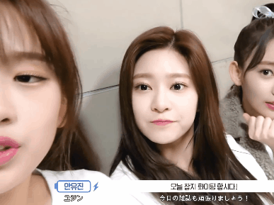 [아이즈원] 밍구리 민주와 댕댕이 유진이의 케미.gif | 인스티즈