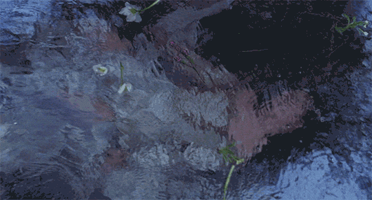 모바일 금지) I still dream about you - 화정 | 인스티즈