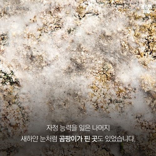 우리가 묻어버린 이야기 | 인스티즈