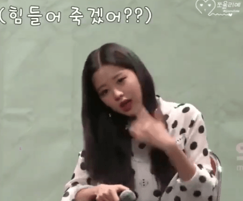 팬싸인회 온 팬한테 집에가라는 장원영 ㄷㄷㄷ.gif (아이즈원) | 인스티즈