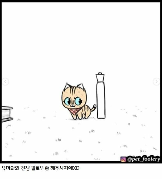 은퇴한 군견과 새끼 고양이만화 3편 | 인스티즈