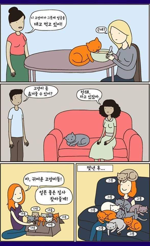 고양이 키우면 공감하는 짤 모음 | 인스티즈