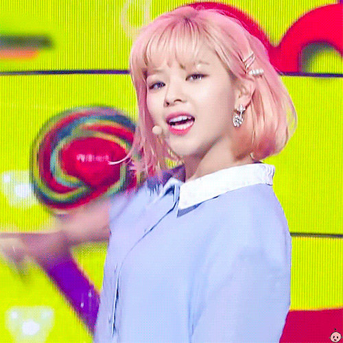 트와이스 팬들 사이에서도 난제라는 민트정연 vs 벚꽃정연 | 인스티즈