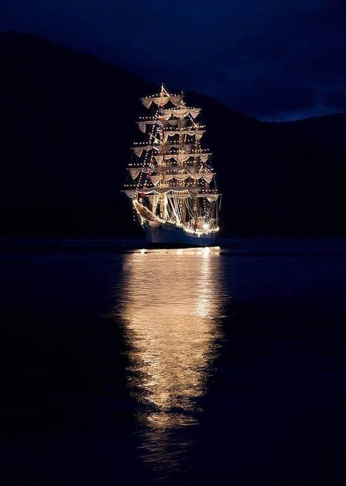 홀로 밝은 노르웨이 선박.jpg | 인스티즈