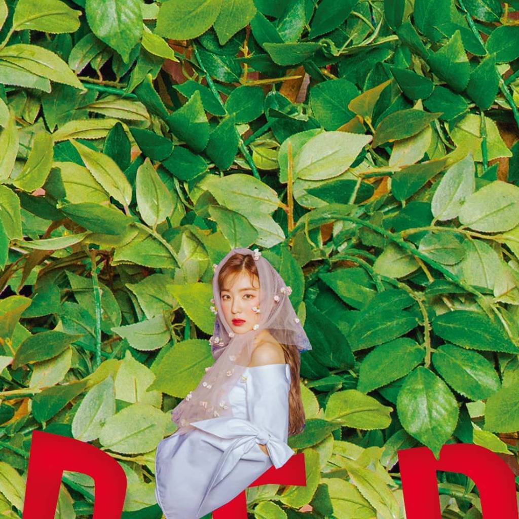 9시간만에 완성된 레드벨벳 일본 새 앨범 '컨셉 티저'.jpgif | 인스티즈