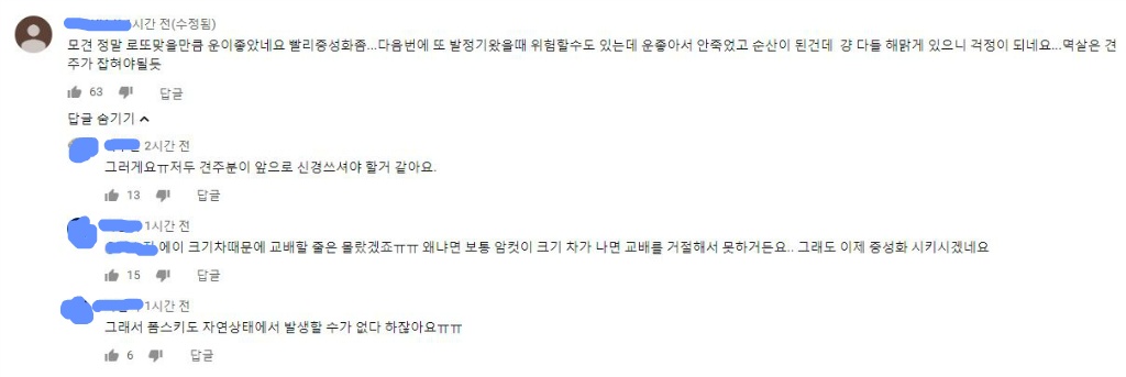 견생 2개월차, 엄마보다 커버린 강아지 하치 출생의 비밀 | 인스티즈