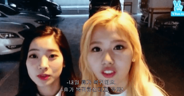 사나 v앱라이브 대참사..gif | 인스티즈