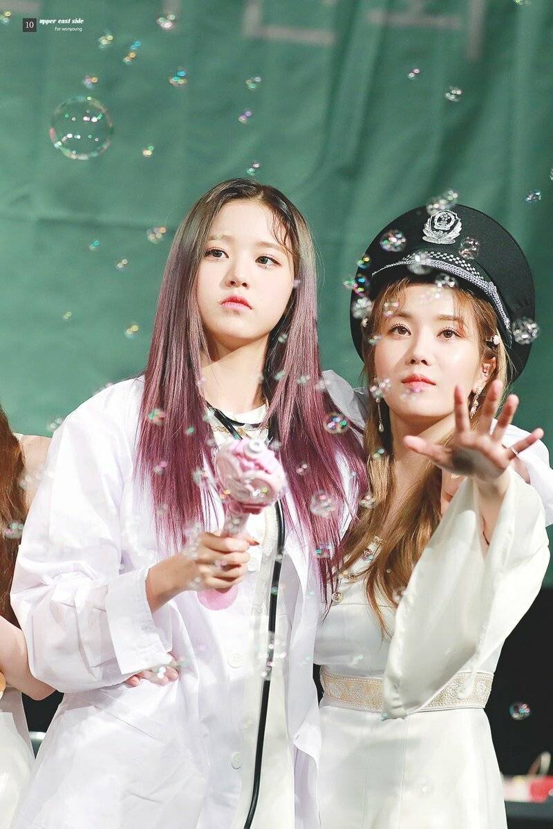 원영이 레전드짤 이후로 너도나도 도전하는 아이즈원 ㅋㅋㅋㅋ | 인스티즈