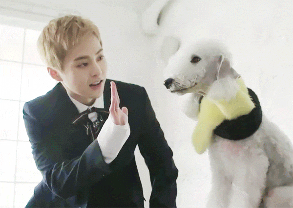 머글 흡수하던 시절의 엑소 시우민.jpg | 인스티즈