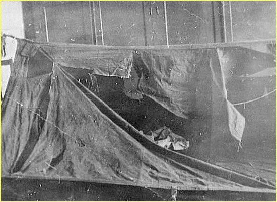 우랄산맥 미스테리 | 인스티즈