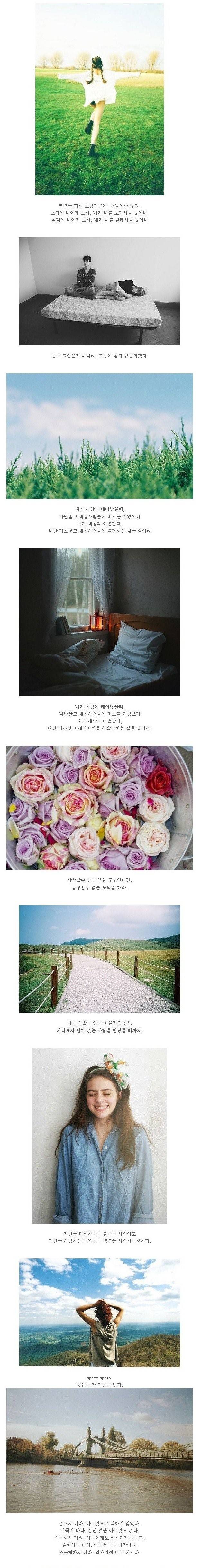  인생을 비관하고 있는 당신을 위해 | 인스티즈