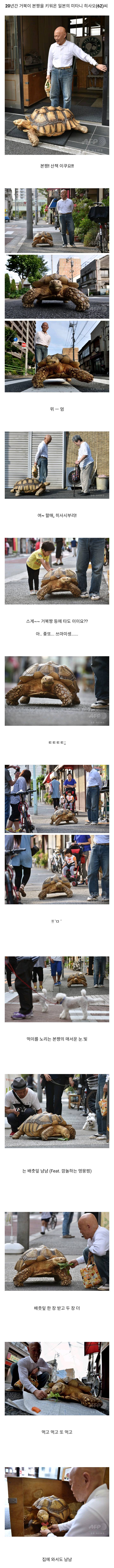 20년간 거북이 키우신 할아버지 | 인스티즈