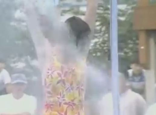 2019년 지금은 감히(?) 나올 수 없는 예능 | 인스티즈