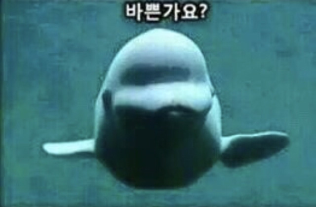 저기있잖아요... | 인스티즈