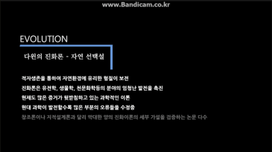 발표마친기념으로 적어보는 뀨륵이의 PPT팁 #1 | 인스티즈