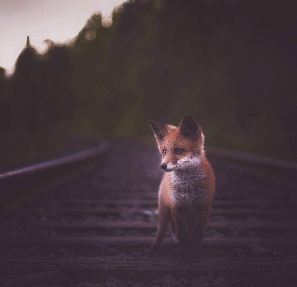 그들의 감정.. | 인스티즈