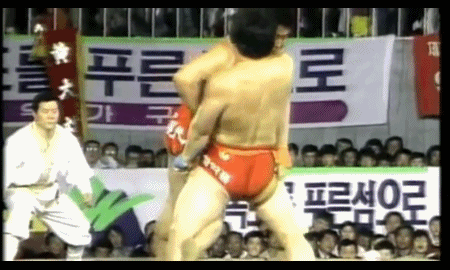 강호동 피지컬.gif | 인스티즈