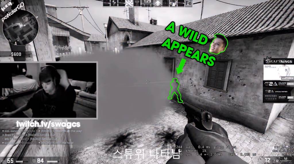 생각없이 개돌하는거 같은데 다 죽여버림 | 인스티즈